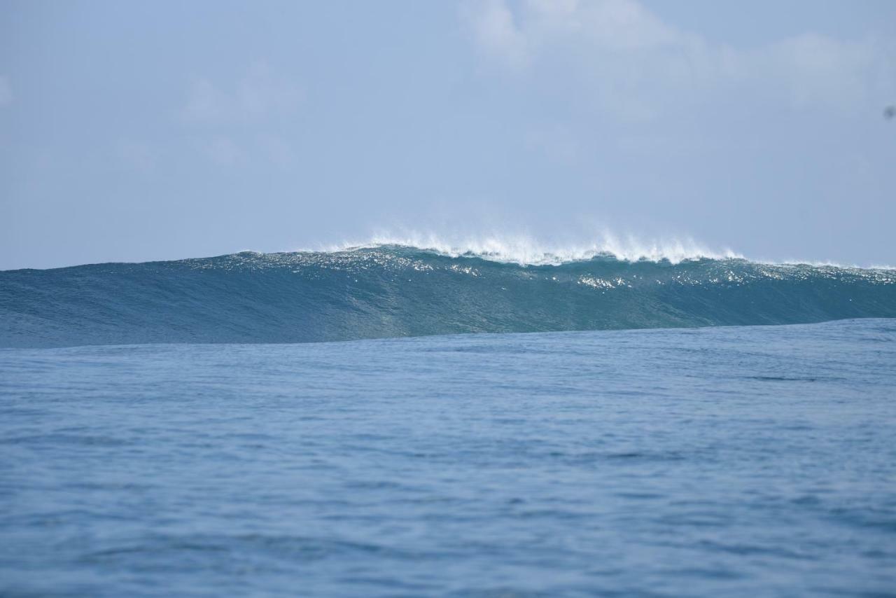 מלון Surf Yoga Retreat הימפושי מראה חיצוני תמונה